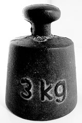 3 kg metric weight